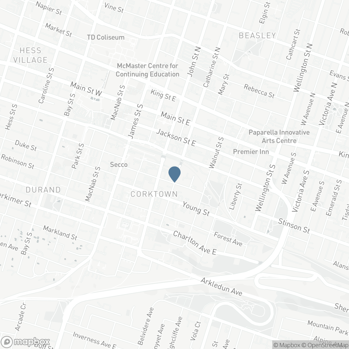 116 CATHARINE STREET S, Hamilton, Ontario L8N 2J4